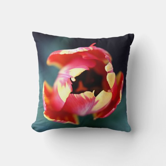 Tulip Pillow Cover クッション (正面)
