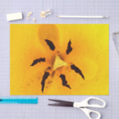 Tulip stamen and pollen 薄葉紙 (クラフト)