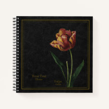 Tulip (Tulipa culta) Black Notebook