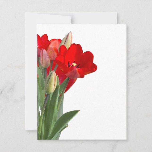 Tulips (正面)