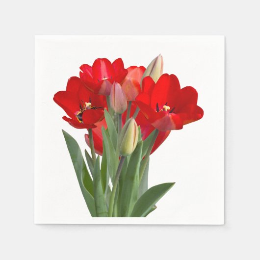 Tulips スタンダードカクテルナプキン (正面)