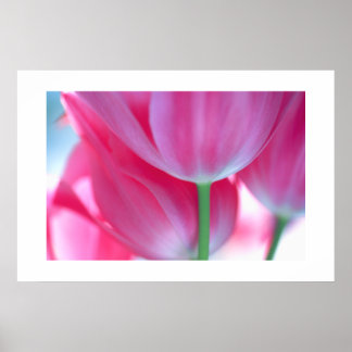 Tulips #2-Poster ポスター