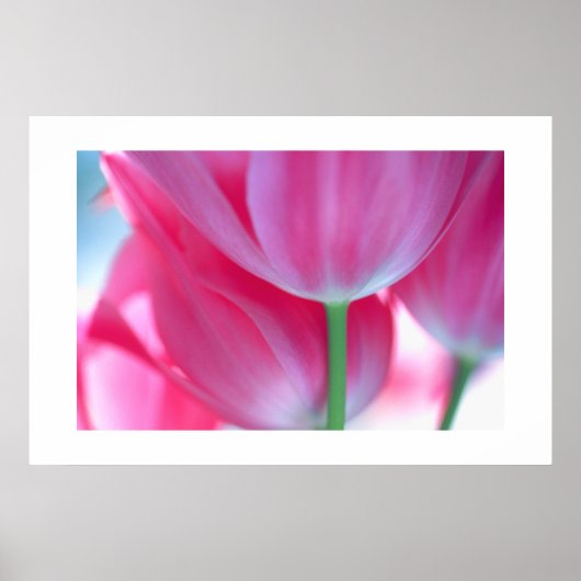 Tulips #2-Poster ポスター (正面)