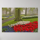 Tulips and daffodils, Keukenhof Gardens, ポスター (正面)