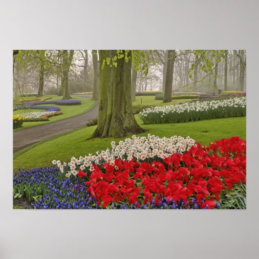 Tulips and daffodils, Keukenhof Gardens, ポスター (正面)