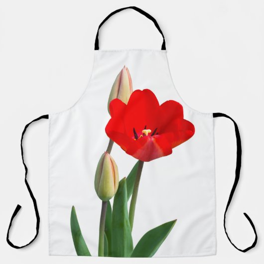 Tulips apron エプロン (正面)