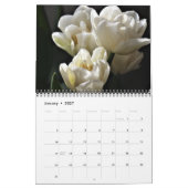 Tulips Calendar カレンダー (1月 2027)