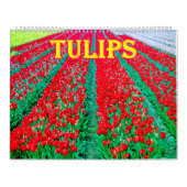 tulips Calendar カレンダー (カバー)