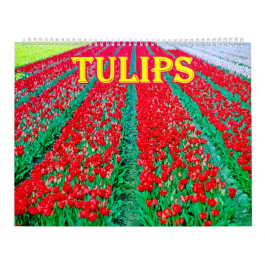tulips Calendar カレンダー (カバー)