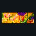 Tulips Enchanting 01 ポスター<br><div class="desc">Colorful tulips on a flowerbed. All the rainbow colors present. Bright and positive floral scene. Macro photography.</div>