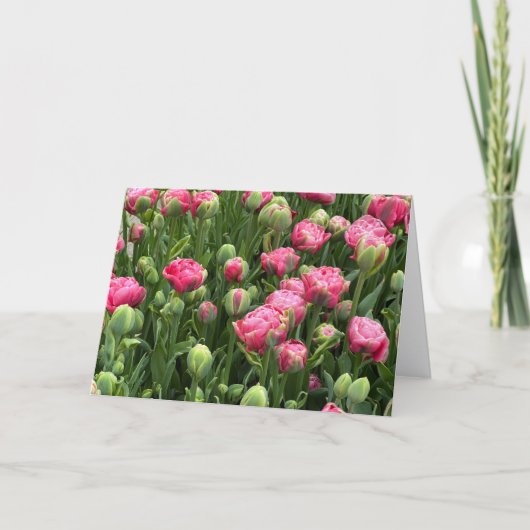 Tulips Galore Blank Greeting Card カード (正面)