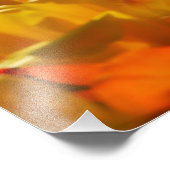 Tulips in Keukenhof Gardens，アムステルダム， 2 フォトプリント (角)