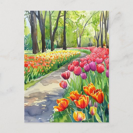 Tulips in The Park ポストカード (正面)