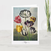 Tulips — Modern Botanical Reinterpretation カード (正面)