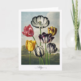 Tulips — Modern Botanical Reinterpretation カード