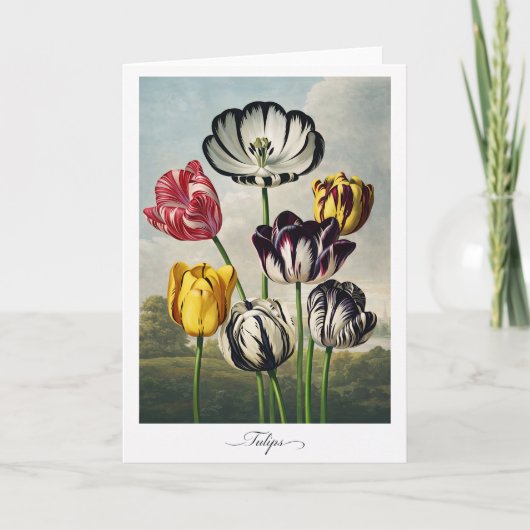 Tulips — Modern Botanical Reinterpretation カード (正面)