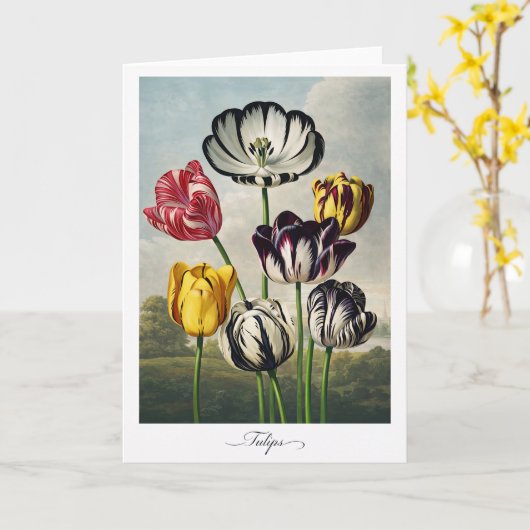 Tulips — Modern Botanical Reinterpretation カード (黄色い花)