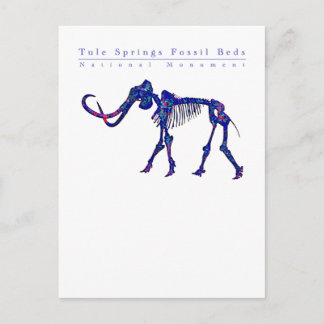 Tulle春化石ベッド:すべての利益が寄付 ポストカード