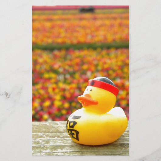 Tulpipのアヒルちゃん 便箋 (正面)