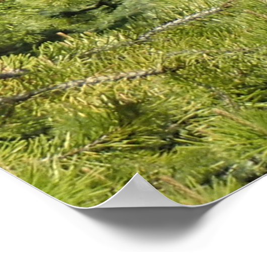 Tumalo滝、OR ポスター (角)