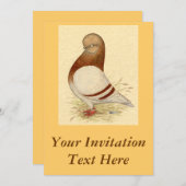 Tumbler Higon: LFCLメアリー 招待状 (正面/裏面)