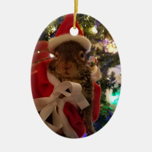 Tumbleweedのクリスマスのオーナメント セラミックオーナメント (正面)