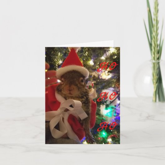 Tumblweedクリスマスカード カード (正面)