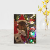 Tumblweedクリスマスカード カード (黄色い花)