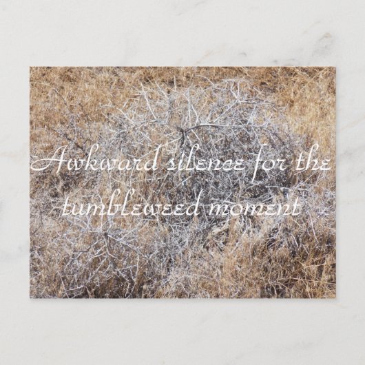 Tumblweed Moment皮肉はがき ポストカード (正面)