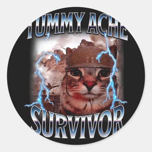 Tummy ache survivor funny cat meme survived today' ラウンドシール (正面)