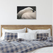 Tundra Swan sleeping Stretched Canvas Print キャンバスプリント (インサイチュ (寝室))