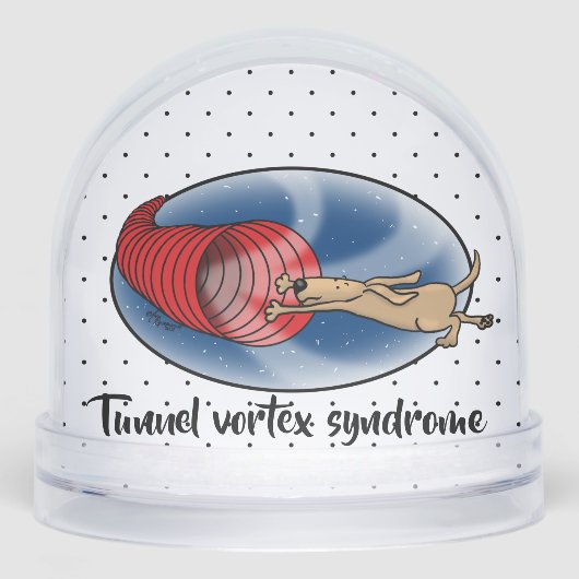Tunnel Vortex Syndrome - agility fast funny dog (正面)