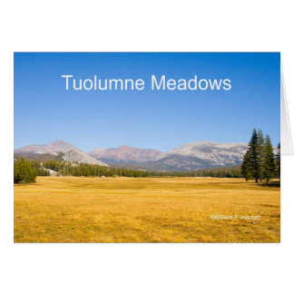 Tuolumne草原のヨセミテカリフォルニアプロダクト