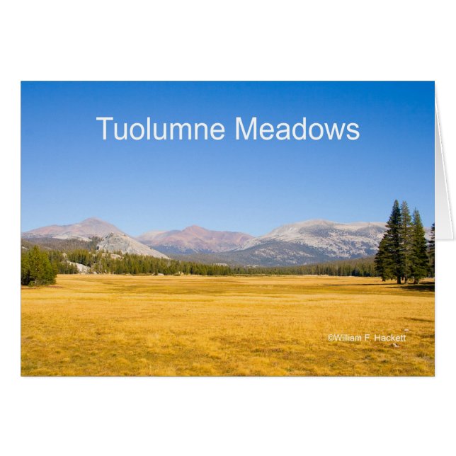 Tuolumne草原のヨセミテカリフォルニアプロダクト (正面横)