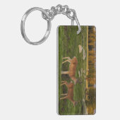 Tuolumne草原、ヨセミテ キーホルダー (正面左)