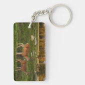 Tuolumne草原、ヨセミテ キーホルダー (裏面)