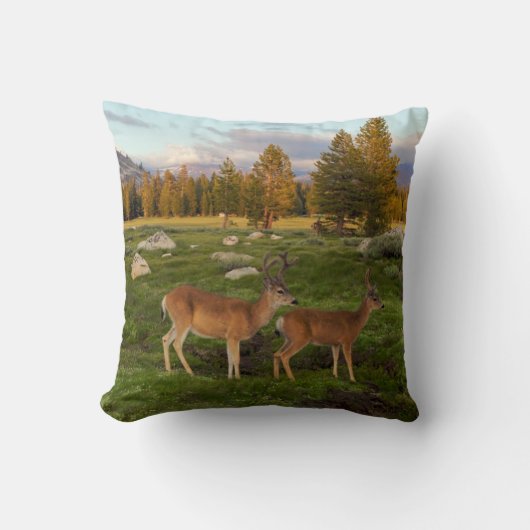 Tuolumne草原、ヨセミテ クッション (正面)