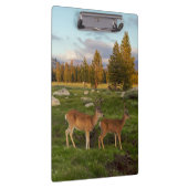 Tuolumne草原、ヨセミテ クリップボード (右)