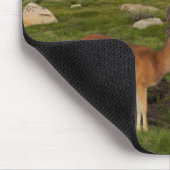 Tuolumne草原、ヨセミテ マウスパッド (コーナー)