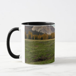 Tuolumne草原、ヨセミテ マグカップ