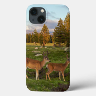 Tuolumne草原、ヨセミテ iPhone 13ケース