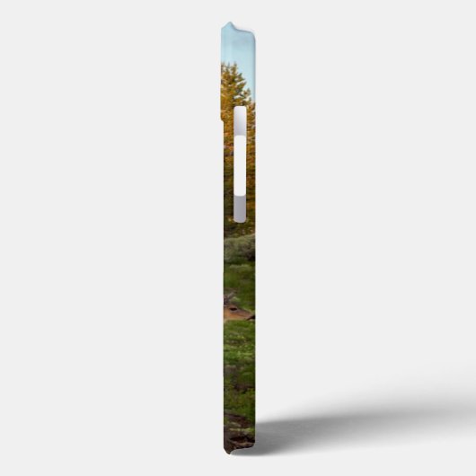 Tuolumne草原、ヨセミテ Case-Mate iPhoneケース (裏面 / 左)