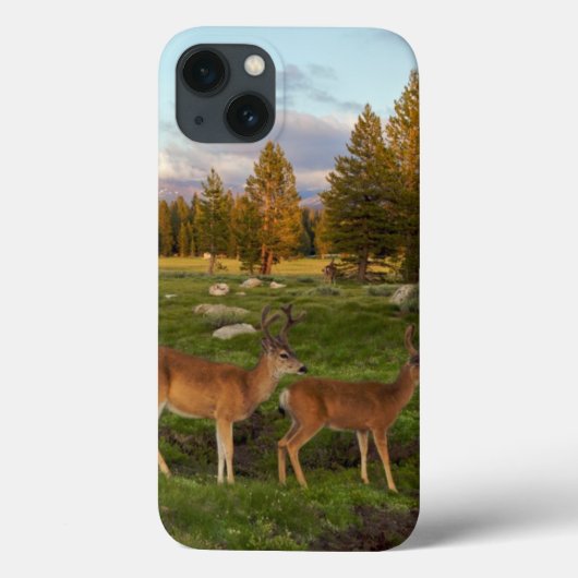 Tuolumne草原、ヨセミテ Case-Mate iPhoneケース (裏面)