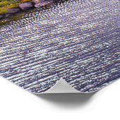 Tuolumne Meadow & Tuolumne Creek ポスター (角)