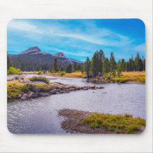 Tuolumne Meadow & Tuolumne Creek