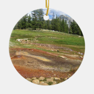 Tuolumne Meadows, Yosemite, CAのホット春 セラミックオーナメント