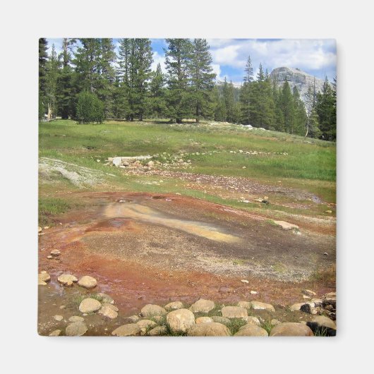 Tuolumne Meadows, Yosemite, CAのホット春 マグネット (正面)