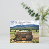 Tuolumne Meadows, Yosemite, CA Postのホット春 ポストカード (スタンド正面)