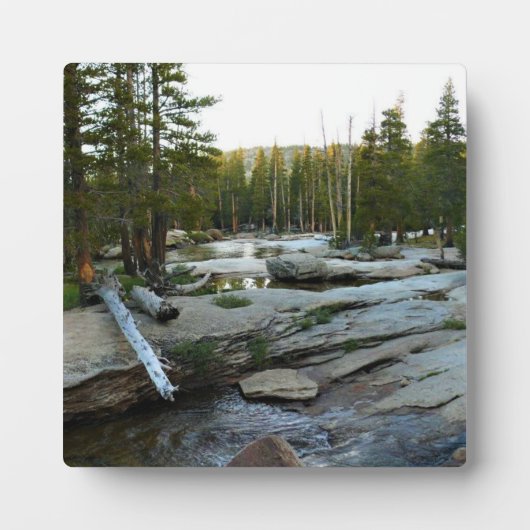 Tuolumne River by Campground, Yosemite, CA フォトプラーク (正面)