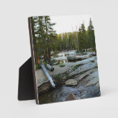 Tuolumne River by Campground, Yosemite, CA フォトプラーク (正面)